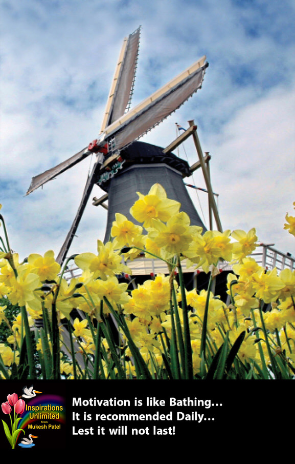 WINDMILL WITH TULIPS