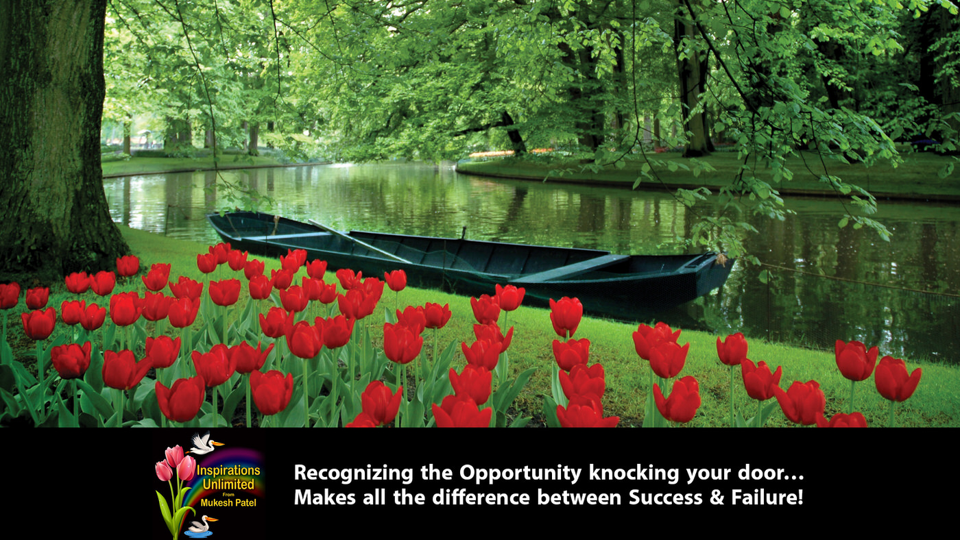 Tulips & Boat